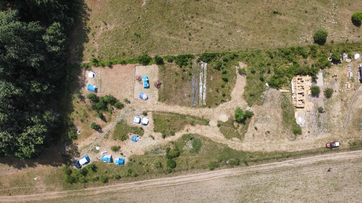 La marginea pădurii de stejari